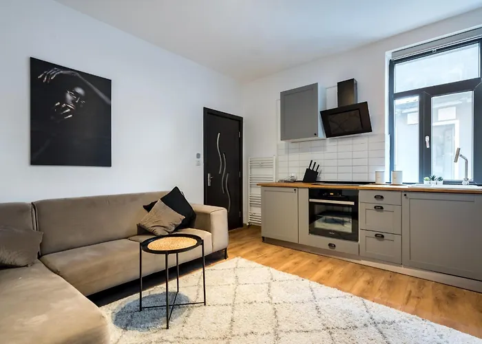 Apartment Black Rose